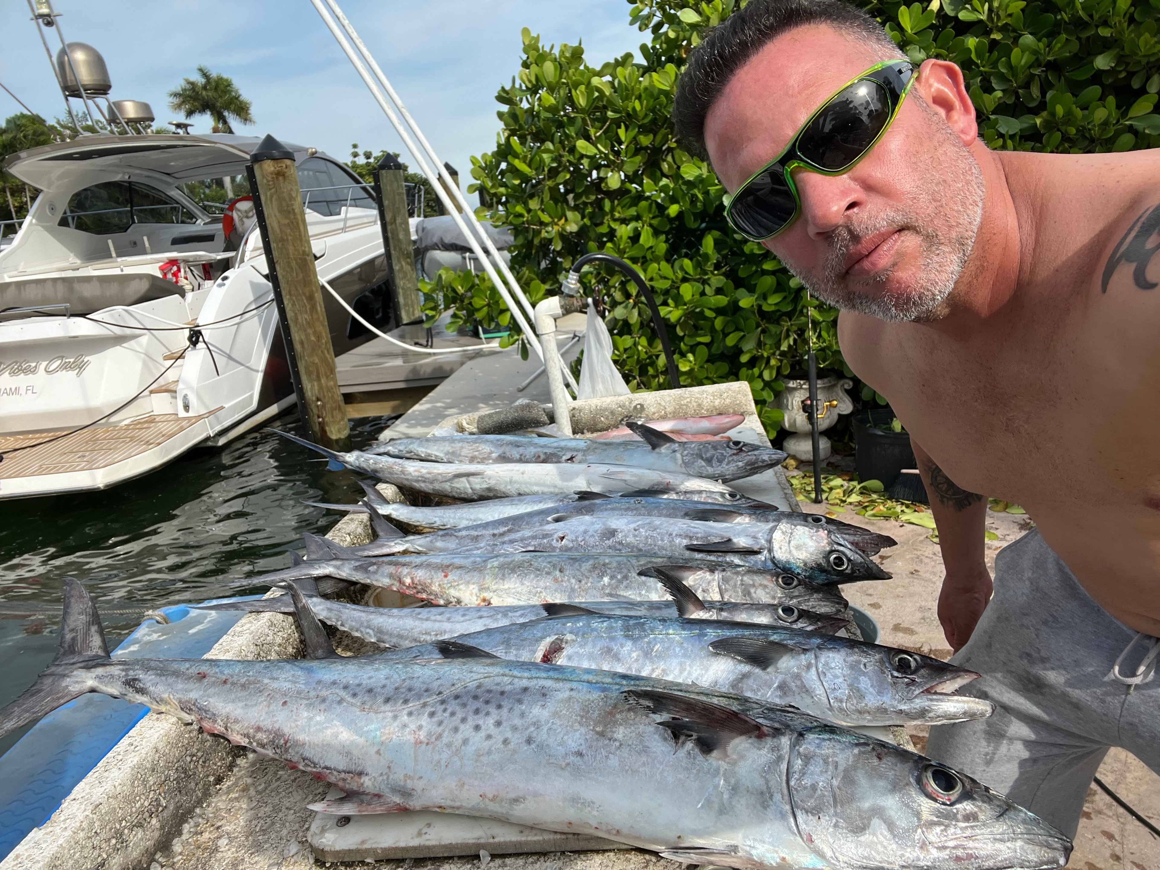 Angler with a haul of kingfish laid out at the dock after a Miami fishing charter on the Mako 30ft