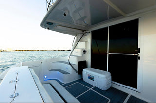 Rose 50'