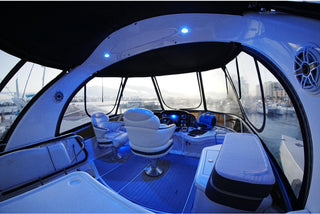 Rose 50'