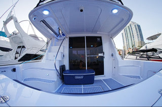 Rose 50'