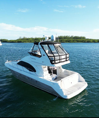 Rose 50'
